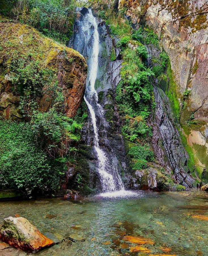 Fonte D' Amandos Bed & Breakfast Arganil Dış mekan fotoğraf